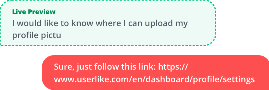 Screenshot of Userlike’s Live Preview function.
