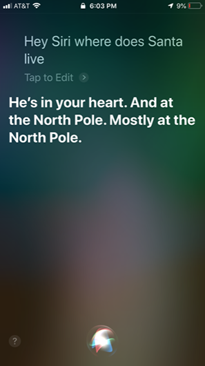 Screenshot von iPhone mit Siri-Anwendung