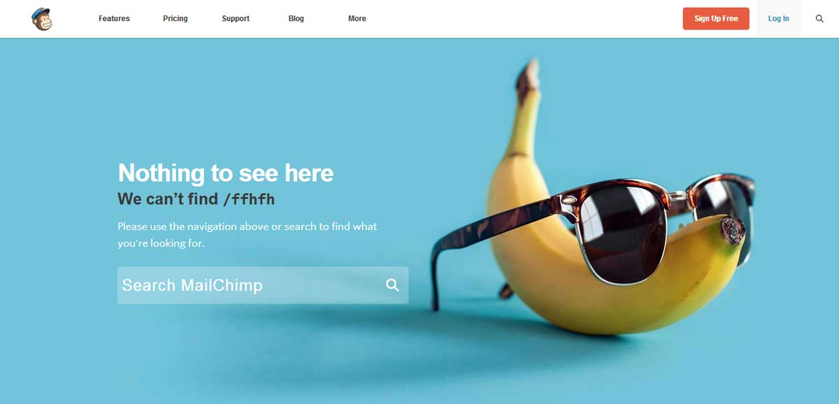 Example of an error message on the Mailchimp website.