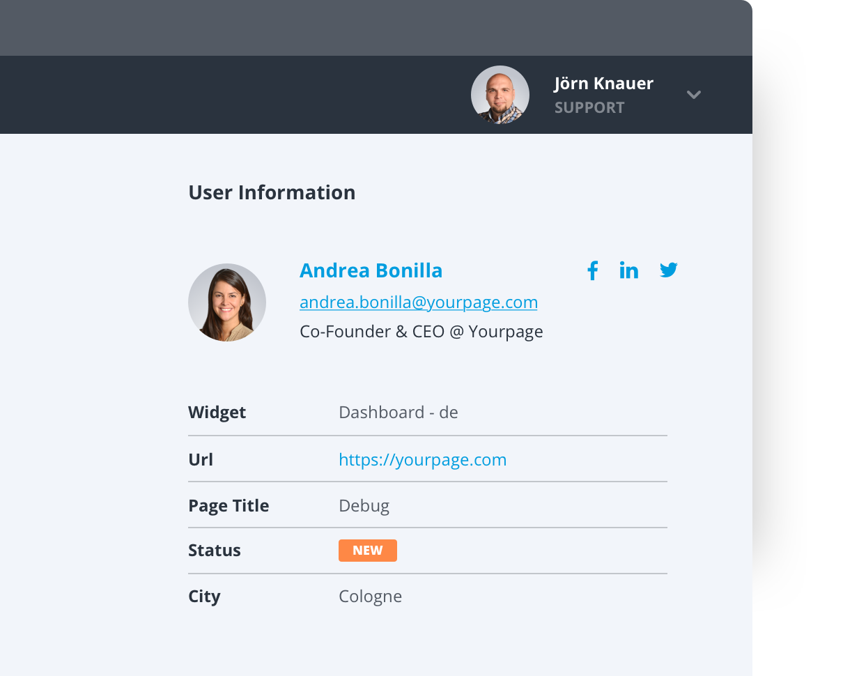 Customer profile in Userlike's Chat Panel.
