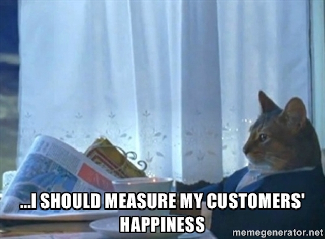 Meme of cat thinking about measuring customer satisfaction and creating customer loyalty.
