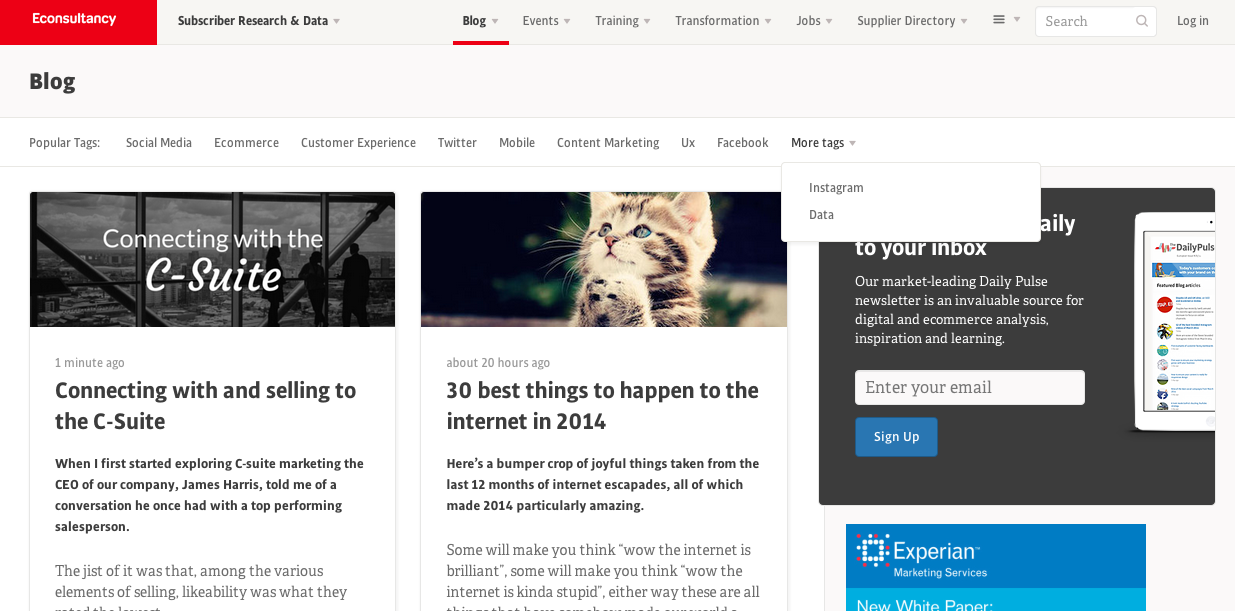 screenshot of eConsultancy website