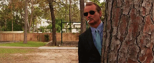 Gif zeigt Mann, der sich hinter einem Baum versteckt