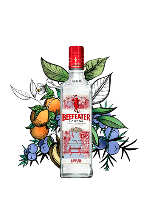Our Gins Beefeater Gin