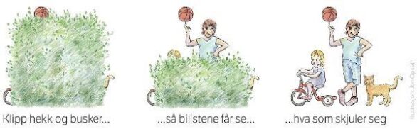 Medium Klipp Hekk Og Busker