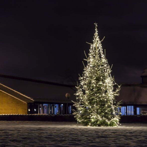 Julegran 1