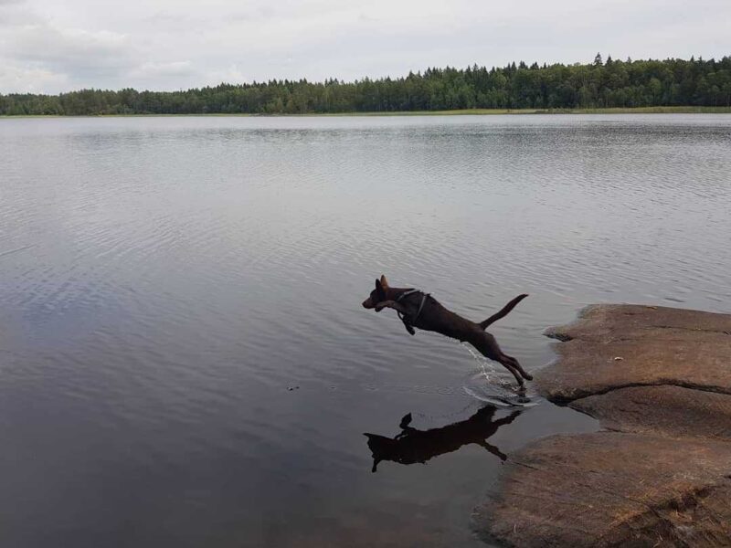 Fotograf: Ane Andersen