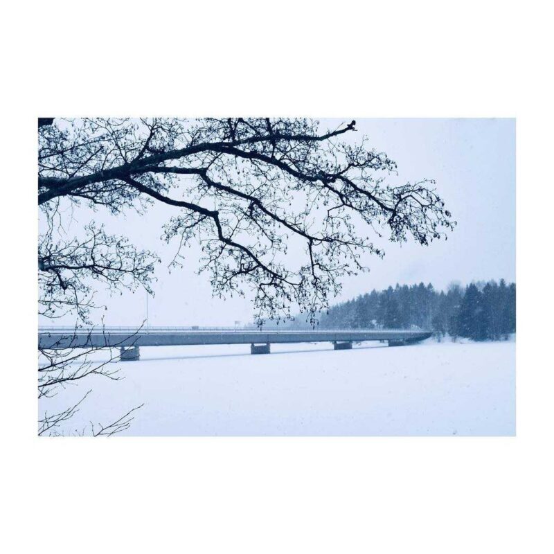 Fotograf: Kristin Svenskerud