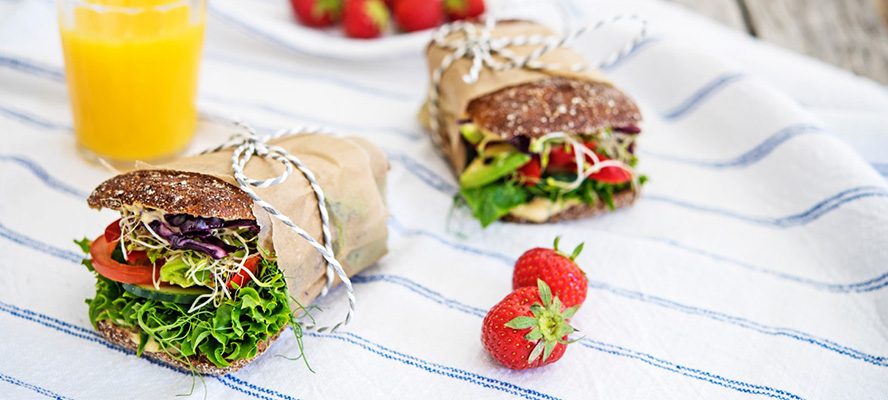 All Vege Piknikleipä