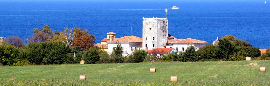 Riviera Novigrad Croatia