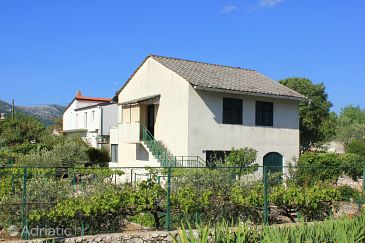 Property - Apartments 10024 Property Zadvarje (Makarska) - Accommodation 10024 - Apartments with pebble beach.