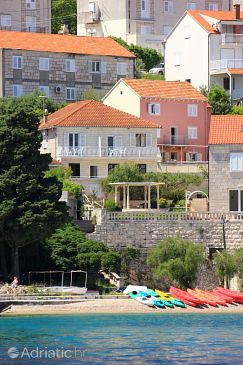 Property - Apartments 10051 Property Korčula (Korčula) - Accommodation 10051 - Apartments near sea with pebble beach.