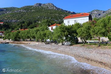 Property - Apartments 10140 Property Viganj (Pelješac) - Accommodation 10140 - Apartments near sea with pebble beach.