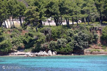 Property - Apartments 10207 Property Žuljana (Pelješac) - Accommodation 10207 - Apartments near sea with rocky beach.