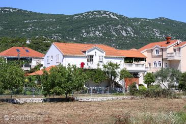 Property - Apartments 10226 Property Mali Ston (Pelješac) - Accommodation 10226 - Apartments near sea with pebble beach.