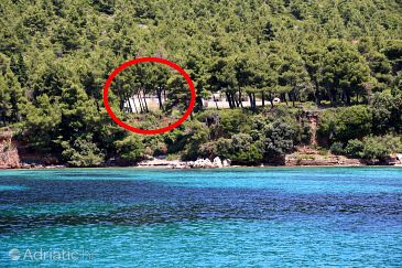 Property - Apartments 10233 Property Žuljana (Pelješac) - Accommodation 10233 - Apartments near sea with rocky beach.