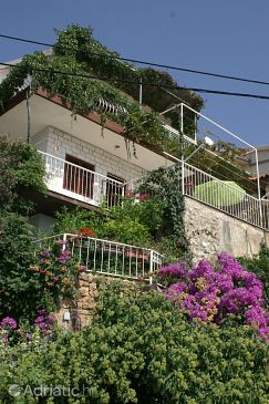 Property - Apartments 1026 Property Stanići (Omiš) - Accommodation 1026 - Apartments near sea with pebble beach.