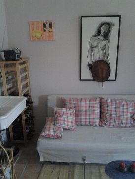 Living room Pula, Living room u smještaju tipa studio-apartment, dostupna klima i WIFI.