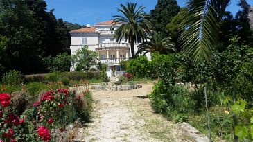 Property - Apartments 11770 Property Split (Split) - Accommodation 11770 - Apartments near sea with pebble beach.