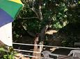 Shared terrace - view Shared terrace - view - Apartment A-141-b - Apartments and Rooms Hvar (Hvar) - 141