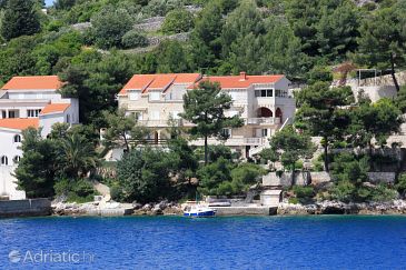 Property - Apartments 151 Property Račišće (Korčula) - Accommodation 151 - Apartments near sea.