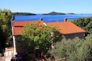 Property - Apartments 176 Property Prižba (Korčula) - Accommodation 176 - Apartments near sea.