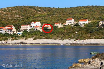 Property - Apartments 188 Property Zavalatica (Korčula) - Accommodation 188 - Apartments near sea with rocky beach.