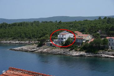 Property - Apartments 2074 Property Basina (Hvar) - Accommodation 2074 - Apartments near sea.