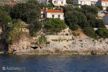 Property - Apartments 2131 Property Štikovica (Dubrovnik) - Accommodation 2131 - Apartments near sea.
