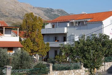 Property - Apartments 2134 Property Cavtat (Dubrovnik) - Accommodation 2134 - Apartments in Croatia.