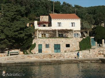 Property - Apartments 2176 Property Suđurađ (Elafiti) - Accommodation 2176 - Apartments near sea.