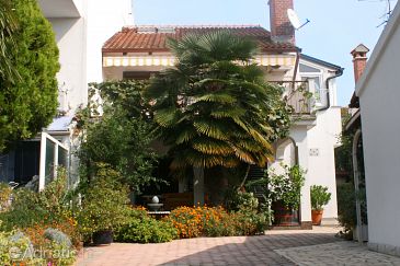Property - Apartments 2288 Property Rovinj (Rovinj) - Accommodation 2288 - Apartments with pebble beach.