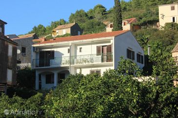 Property - Apartments 2412 Property Vis (Vis) - Accommodation 2412 - Apartments near sea with pebble beach.