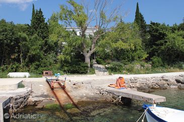 Property - Apartments and Rooms 2415 Property Klenovica (Novi Vinodolski) - Accommodation 2415 - Apartments and Rooms near sea with pebble beach.
