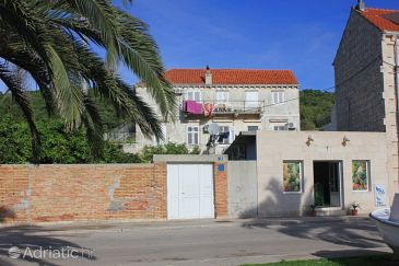Property - Apartments 2453 Property Vis (Vis) - Accommodation 2453 - Apartments near sea with pebble beach.