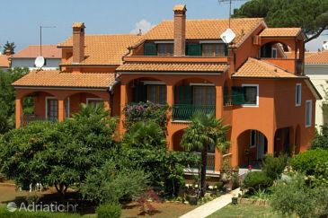 Property Novigrad, Novigrad, Property 2540 - Apartments with pebble beach.