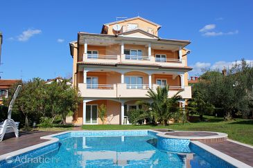 Property - Apartments 2546 Property Novigrad (Novigrad) - Accommodation 2546 - Apartments with pebble beach.