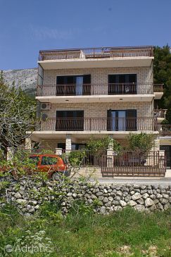 Property - Apartments and Rooms 2606 Property Živogošće - Mala Duba (Makarska) - Accommodation 2606 - Apartments and Rooms near sea with pebble beach.