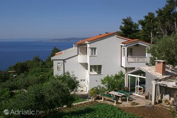 Property - Apartments 2698 Property Baška Voda (Makarska) - Accommodation 2698 - Apartments near sea with pebble beach.