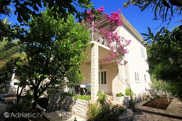 Property - Apartments 280 Property Orebić (Pelješac) - Accommodation 280 - Apartments near sea with pebble beach.