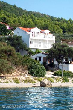 Property - Apartments 2816 Property Zaostrog (Makarska) - Accommodation 2816 - Apartments near sea with pebble beach.