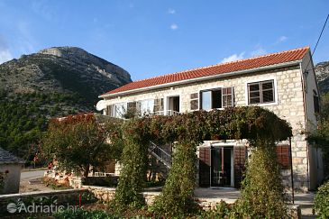 Property - Apartments 2879 Property Bol (Brač) - Accommodation 2879 - Apartments with pebble beach.