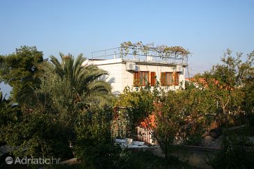 Property - Apartments 2907 Property Splitska (Brač) - Accommodation 2907 - Apartments near sea.