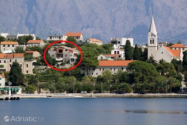 Property - Apartments and Rooms 2949 Property Sumartin (Brač) - Accommodation 2949 - Apartments and Rooms near sea.