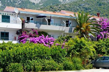 Property - Apartments 302 Property Drvenik Donja vala (Makarska) - Accommodation 302 - Apartments near sea with pebble beach.