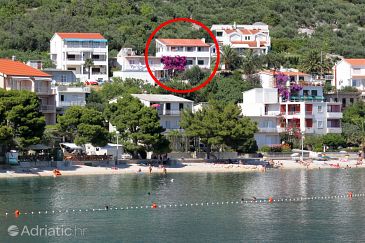 Property - Apartments 310 Property Igrane (Makarska) - Accommodation 310 - Apartments near sea with pebble beach.