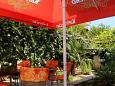 Shared terrace - view Shared terrace - view - Apartment A-3157-c - Apartments Trpanj (Pelješac) - 3157