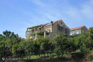 Property - Apartments 3167 Property Mlini (Dubrovnik) - Accommodation 3167 - Apartments with pebble beach.