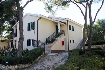Property - Apartments 3196 Property Rogoznica (Rogoznica) - Accommodation 3196 - Apartments near sea with pebble beach.
