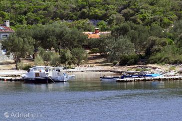 Property - Vacation Rentals 320 Property Uvala Kobiljak (Pašman) - Accommodation 320 - Vacation Rentals near sea with sandy beach.